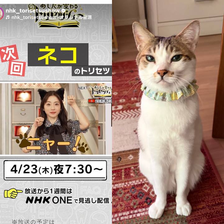 Ad171ddd e738 4133 9832 33815591b4ff 1776429904891