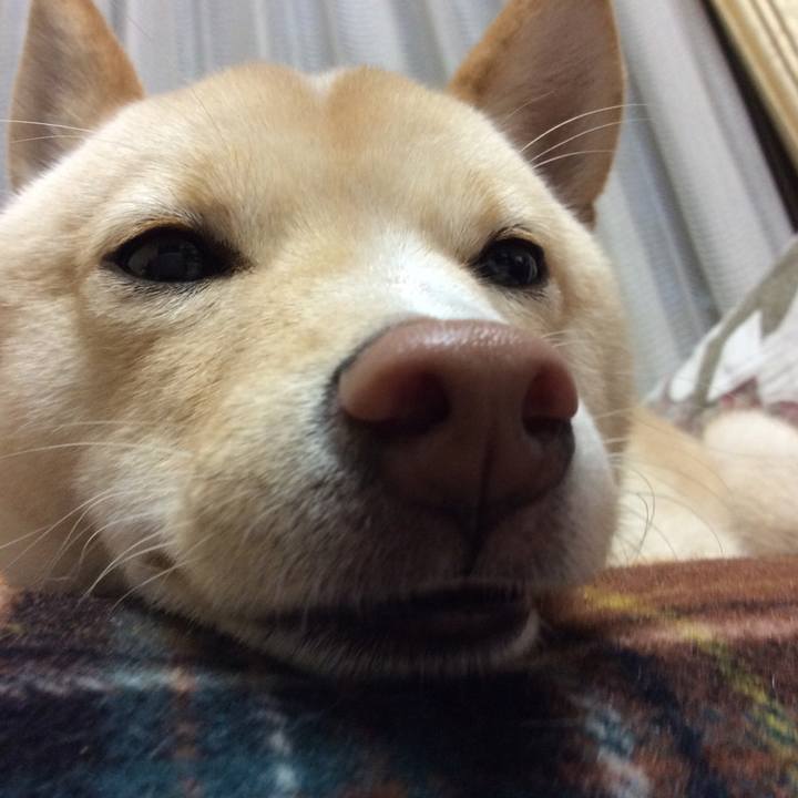 Ad176adc 37ab 4b3b 8ae4 8eb258cb9439 1511529061763