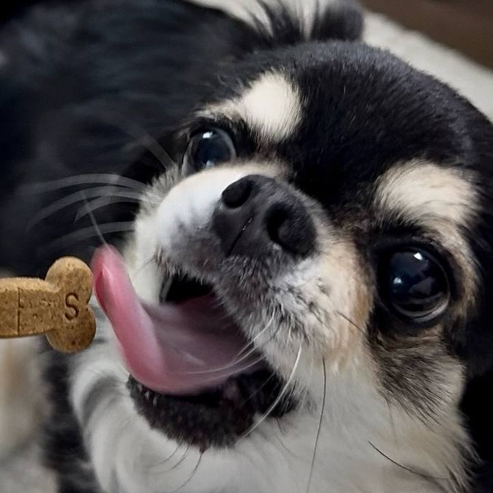 Ad179b8b 519c 4f65 8f7a f32cfd216f9d 1748733383654