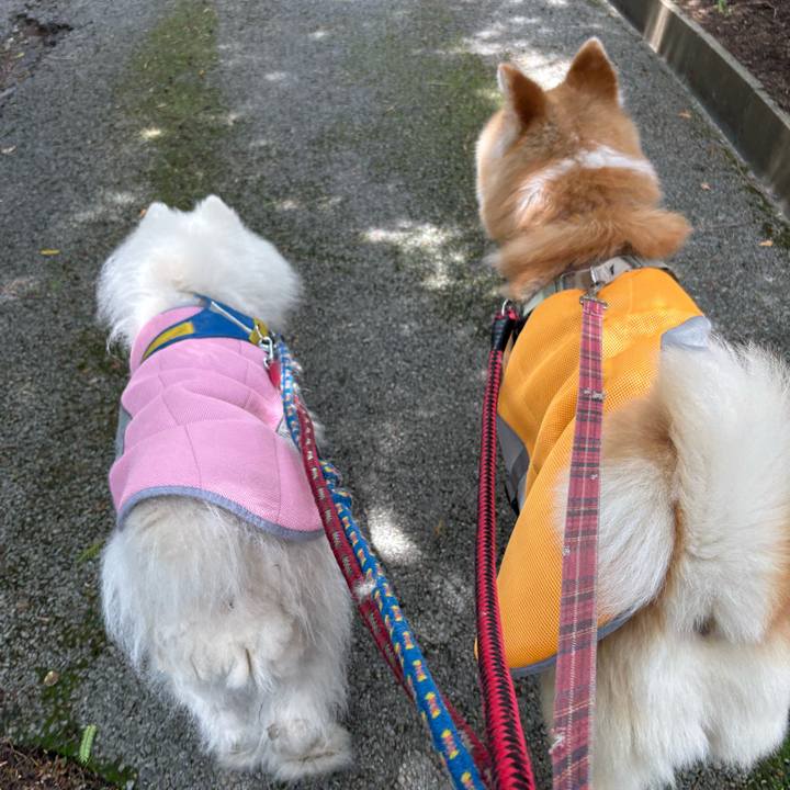 Ad179c2b b956 47b4 9bca 124a2b593572 1749873833783