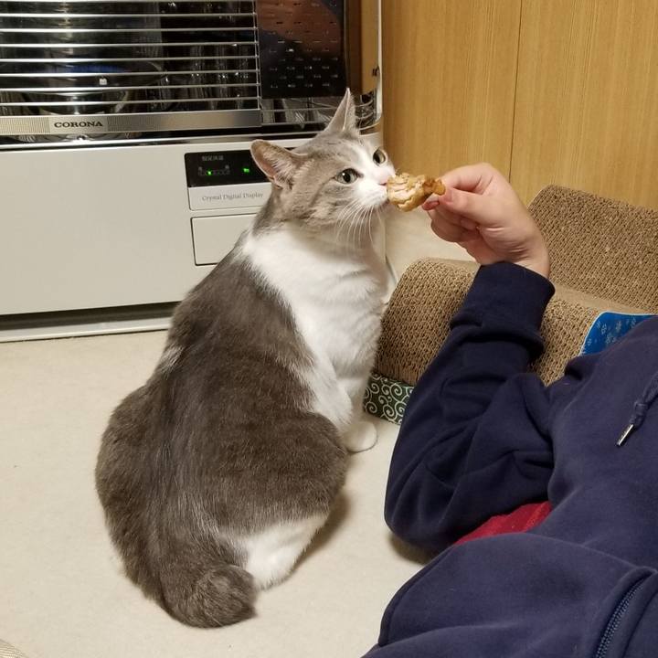 Ad17c1f4 9419 43cc a1e8 6aa497792e16 1673651673939