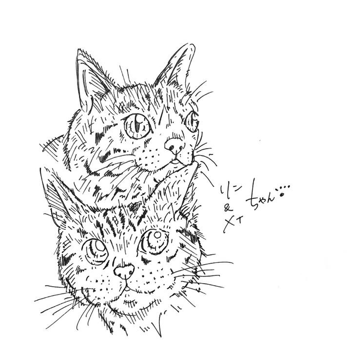 Ad17c42f 5f4f 436e ba2a cf041d92ee73 1581692526848