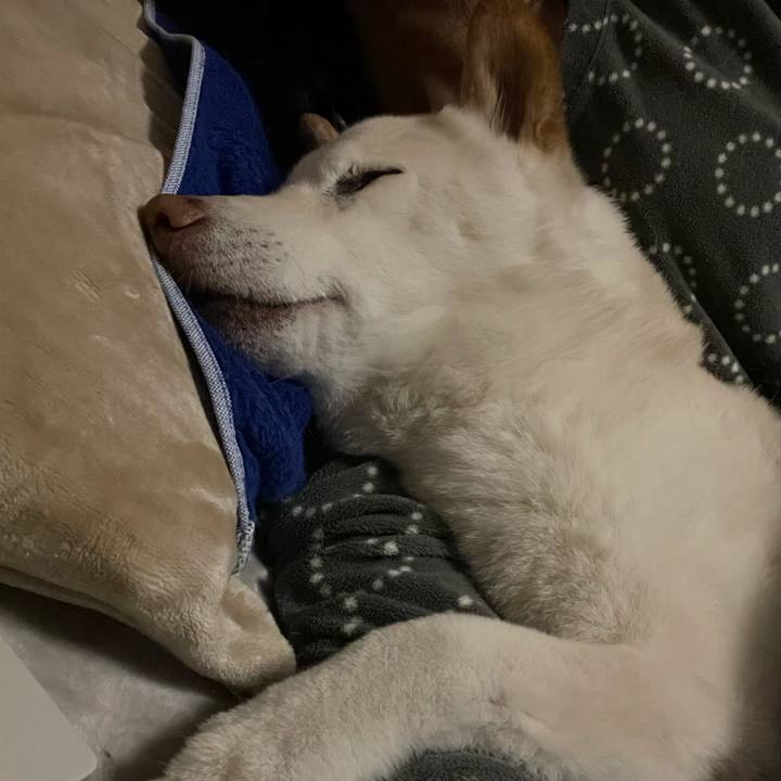 Ad182735 fcb3 4dcf b857 d1450bbcb95f 1637760180068