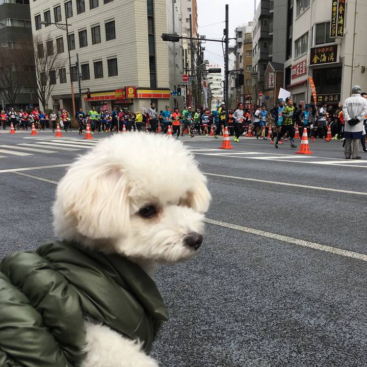 Ad183cbf 784f 4e0d a0af cc791e0c68ff 1519530521636