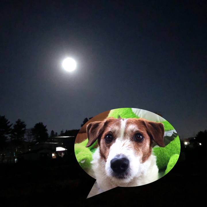 Ad18ab56 7154 4464 ade3 aaffbb5fa9ad 1573552759357