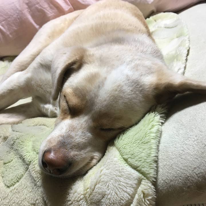 Ad18e878 5f1f 4564 9952 07daeb534c90 1516452914706