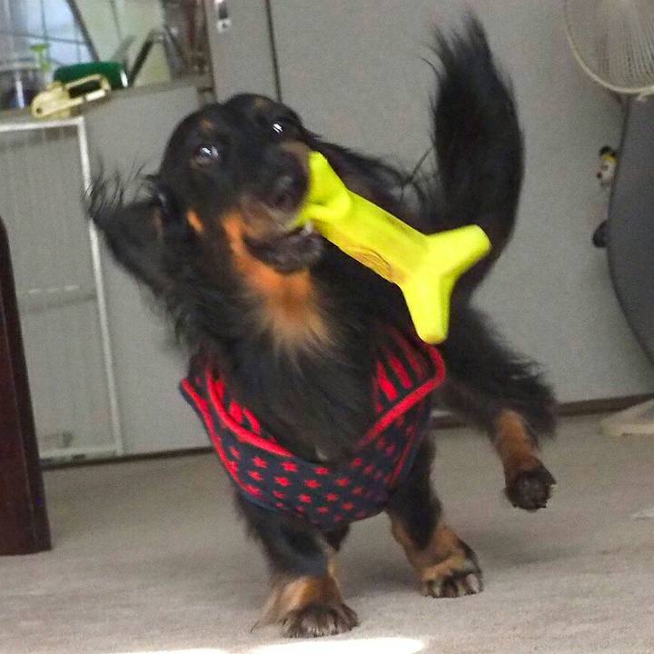 Ad191cb7 8249 4525 8c73 0556b88cbc40 1509411755652