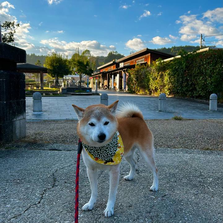 Ad1945a4 d7bc 4725 9d3a b84fb8d756ee 1761825782038