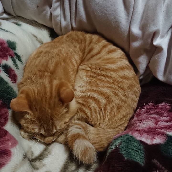 Ad1981cb 0485 4305 a077 a2518bee3f79 1638273098387