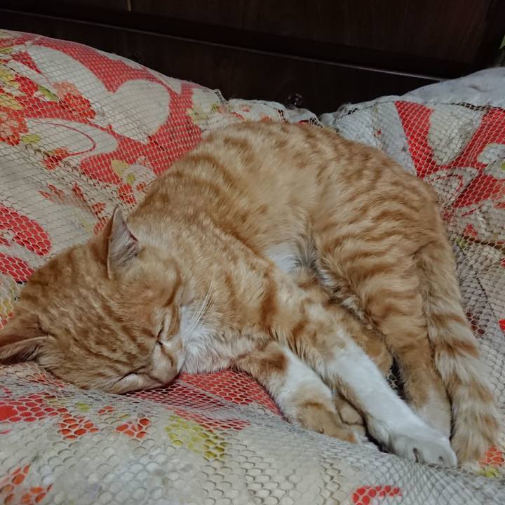 Ad19891c 57b8 490a aff8 b44561c102dc 1554465899013