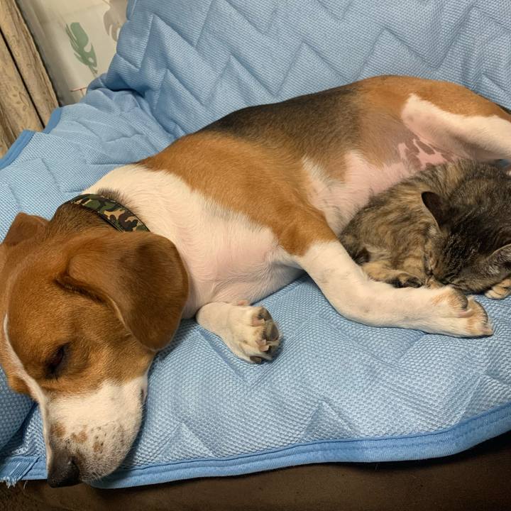 Ad198b52 b897 4ee0 911b bcc0588abb64 1592036887536