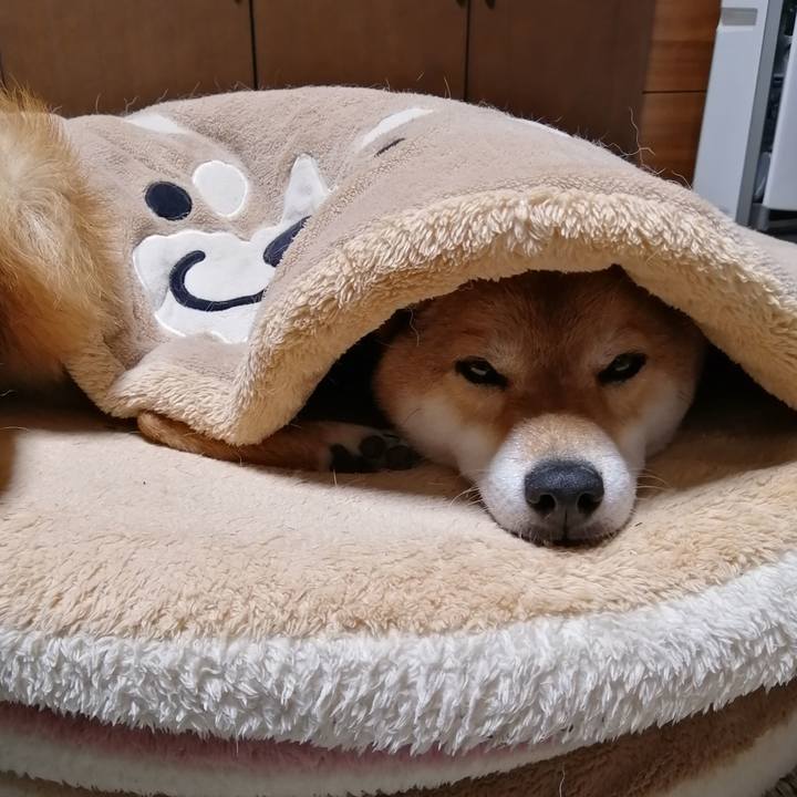 Ad199c60 0add 4d31 8a67 6c34d5e9be9a 1591959729908