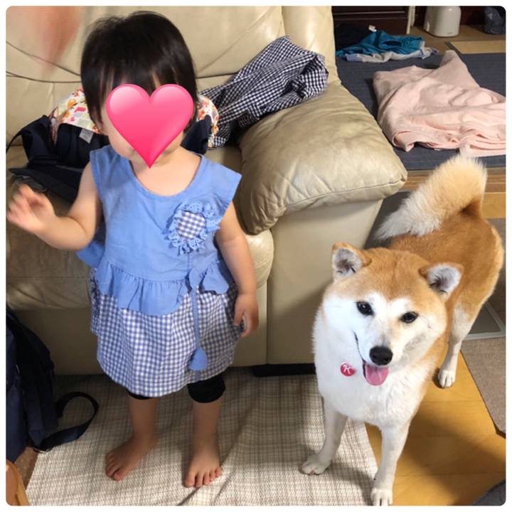 Ad19cfd8 95ca 445a a791 2a4cd0bf220c 1564265941025