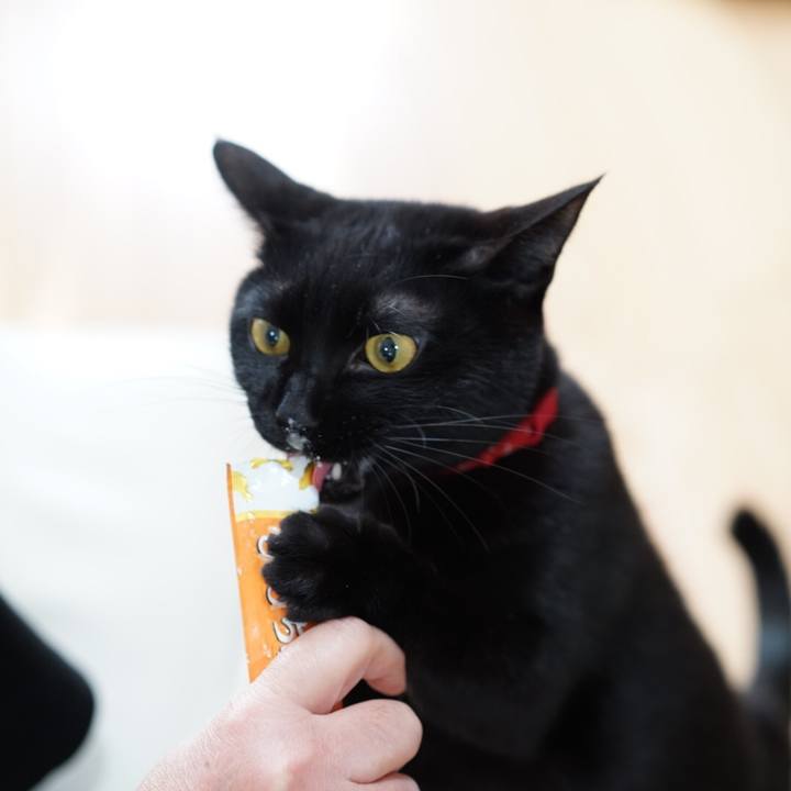 Ad19ee6f cf5d 4f78 a520 7a699c395a04 1550804156115