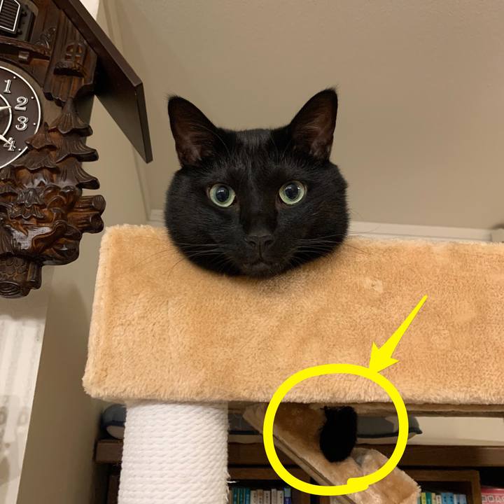 Ad1a07bb 7238 479c 8381 5e325288feb1 1630690793391