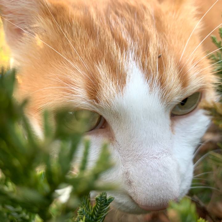 Ad1a0895 4bea 4048 b0aa ffc53f07ce3c 1584769568890