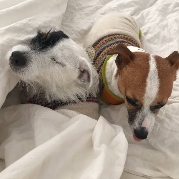 Ad1a2808 0a76 48c0 ab34 ece78fd16fd1 1517871742073