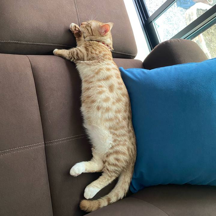 Ad1a2eb8 0e87 47d3 915d f22dcddac306 1600478268600