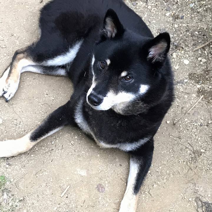 Ad1a531a f668 407a abfc 859c29ea19f4 1527459984063