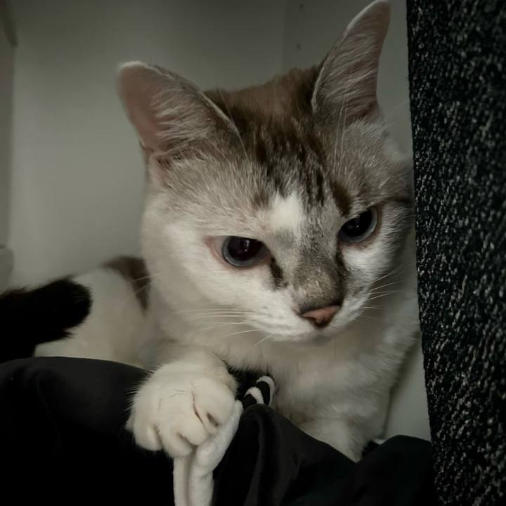 Ad1a5ca4 fe05 4425 8bb1 f0f4f05dd39d 1727137749638