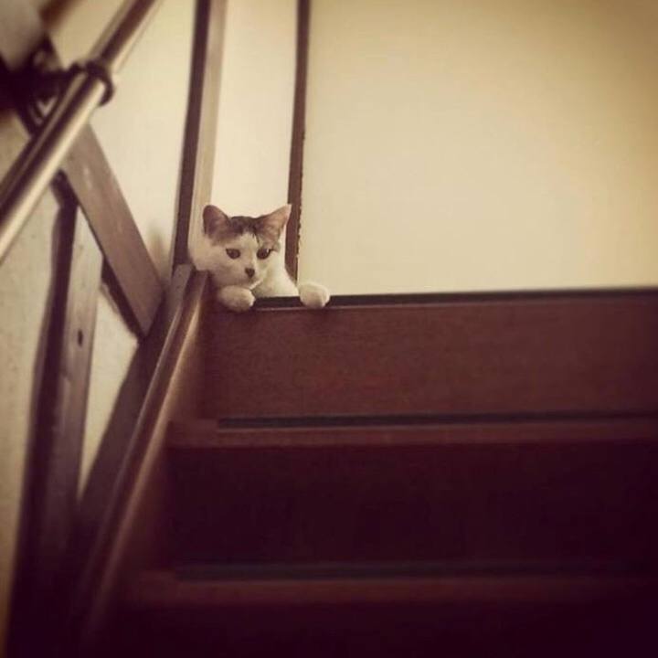 Ad1a8a2e d939 4c62 b861 0e4677130958 1534668223062