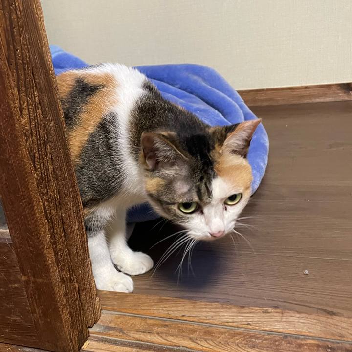 Ad1a8e8b d29b 4eb5 8fce 9bcc04c17f2a 1720177135161