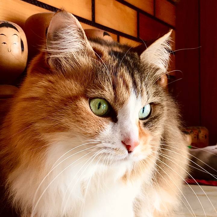 Ad1aa710 25b9 49ae 9b3e 4b8bb77bf7a3 1627877970009