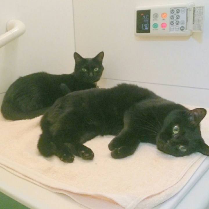 Ad1af6db 03b8 463e a5d1 5d45c8cfea26 1510457787696