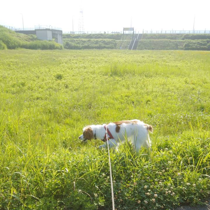 Ad1b02f7 6512 424c b7fb 85f5805ed064 1529884598249