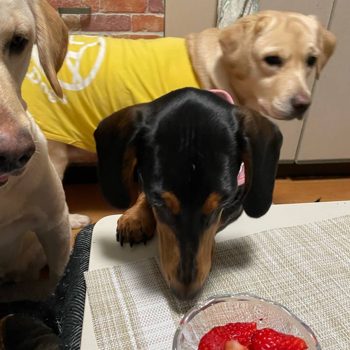 Ad1b0b3b 66d5 4620 a36f 37180b241641 1645842395081