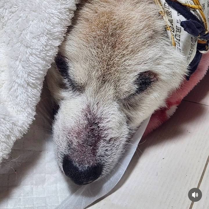 Ad1b11d3 2317 4859 b8d4 0ca4d919c6fd 1738133054755