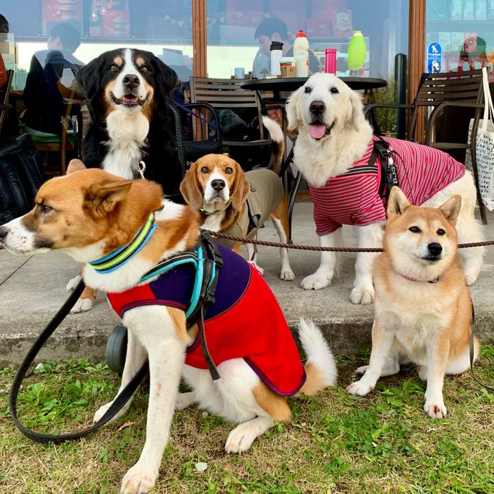 Ad1b1bc6 14cf 45f9 93c8 80bd24a2cad9 1605709878418