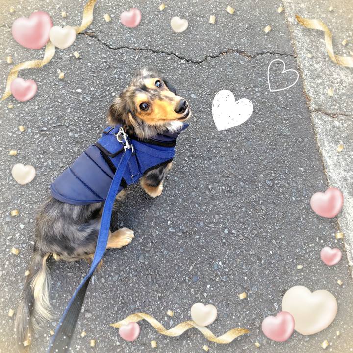 Ad1b436b 159a 455f 87d1 3794789f7772 1738317832150