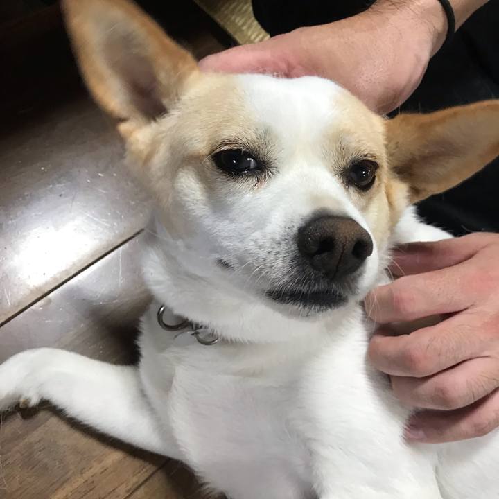 Ad1b4504 63cc 441e a276 5e93bb9d973f 1660454160129