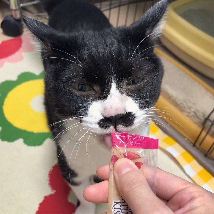 Ad1b5db7 8c97 4317 938e 8e35516d5f24 1600609483680