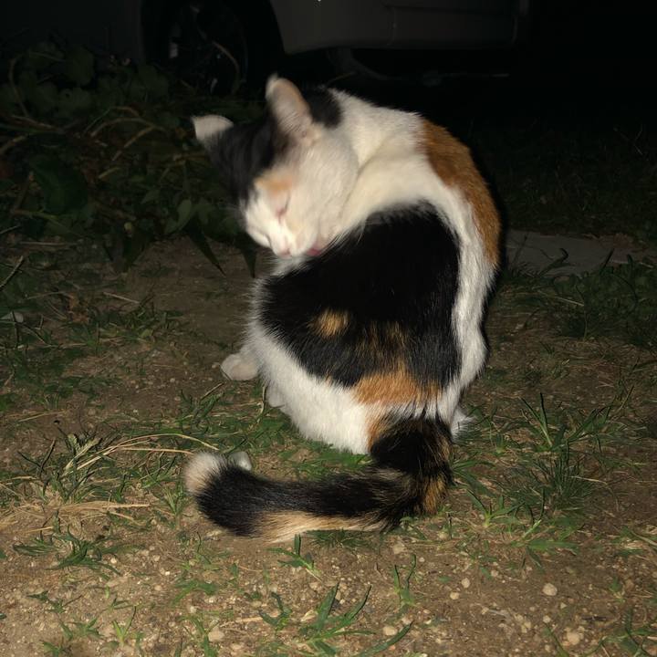 Ad1b72ae fe01 4cfd 8c0a 2bf37403fa3c 1634560499479