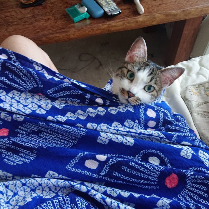 Ad1b93f5 d626 4f3e 8c6b bfb28260246c 1656124232054