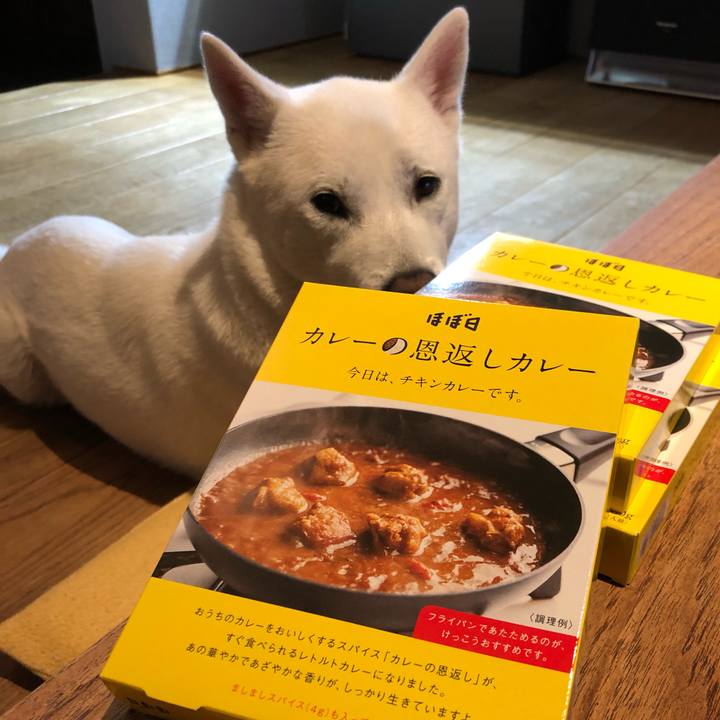 Ad1ba397 eee9 4b07 966e 5232afe9f1f8 1559574345216