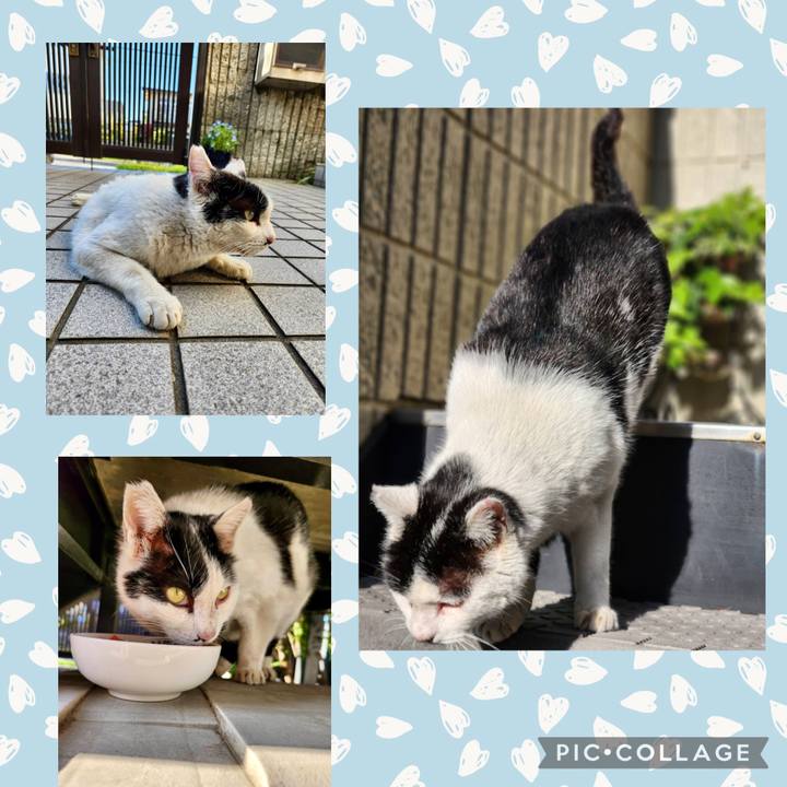 Ad1c0e61 c4b7 4231 8ea2 b9e5c3d70378 1775637738114