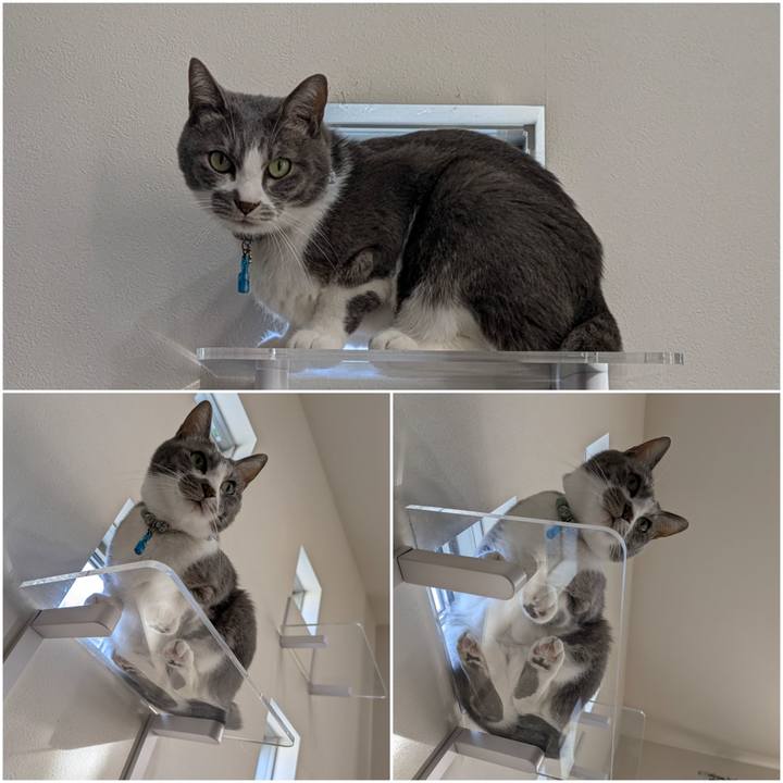 Ad1c256e 1603 49a7 ac43 dc68ad725666 1761629544069