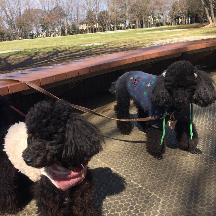 Ad1c4486 25fc 4f56 844b fb2f596969e7 1521862364593