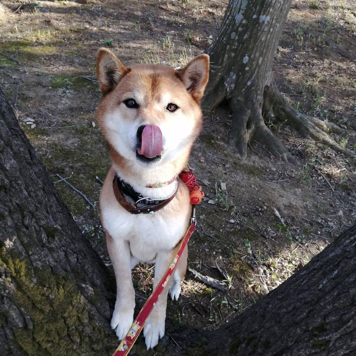 Ad1c473d fd2b 4e9b 8f31 58e93a0ed016 1583479114304