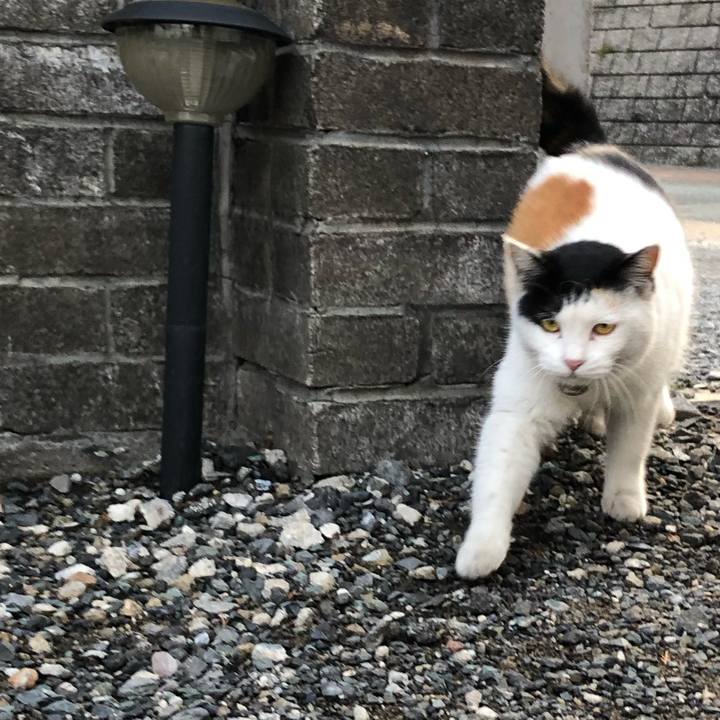 Ad1c885b 80df 4f39 86ce 5bbed5a5d8a3 1612436038622