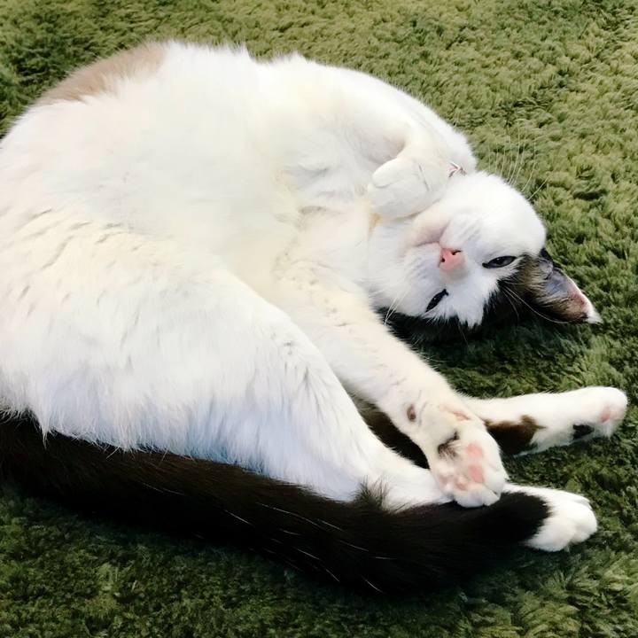 Ad1ca7f3 5b6d 40b1 bcbb 09999c5a66d3 1517372225982