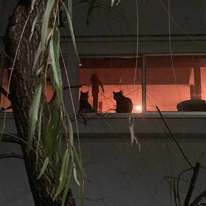 Ad1ccd4e 105c 4307 b55e 66417e9902f7 1706444884490