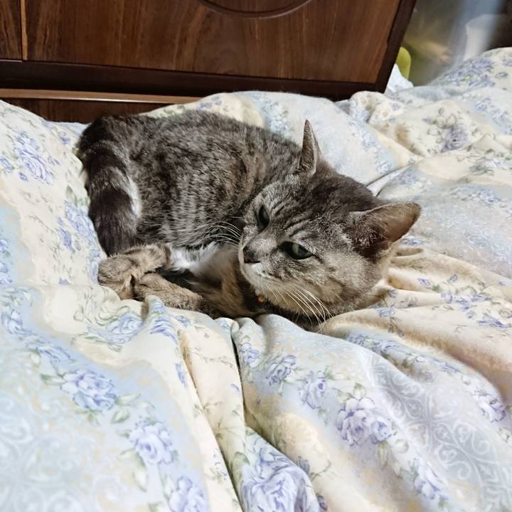 Ad1cf763 2f91 4ef6 bfea 0b06a39dbd4d 1591014210255