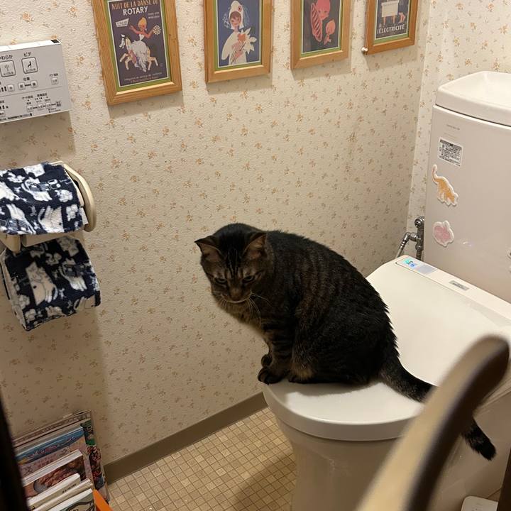 Ad1d6648 bfd4 4421 a118 c2b5940b4bee 1697803470258