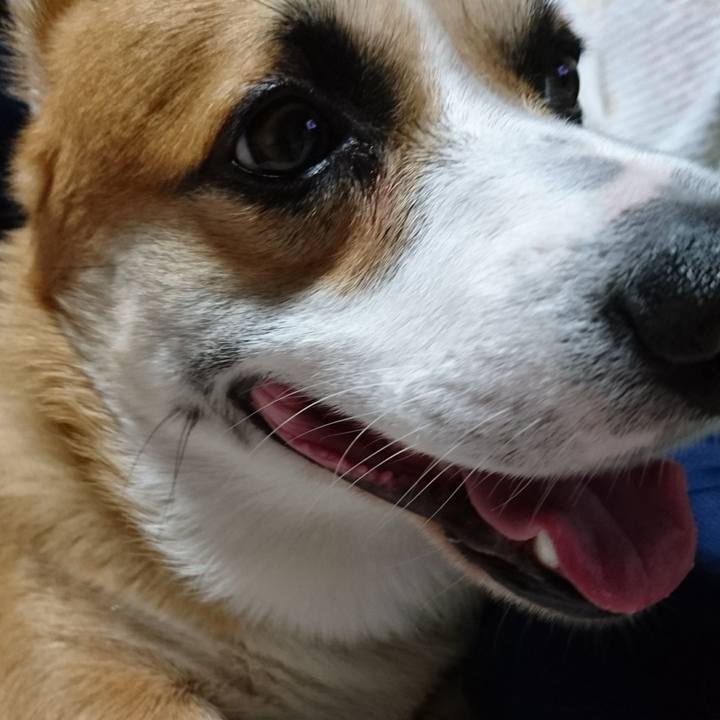 Ad1d781f d63d 4b21 82a0 9f97f97ad432 1599391748158