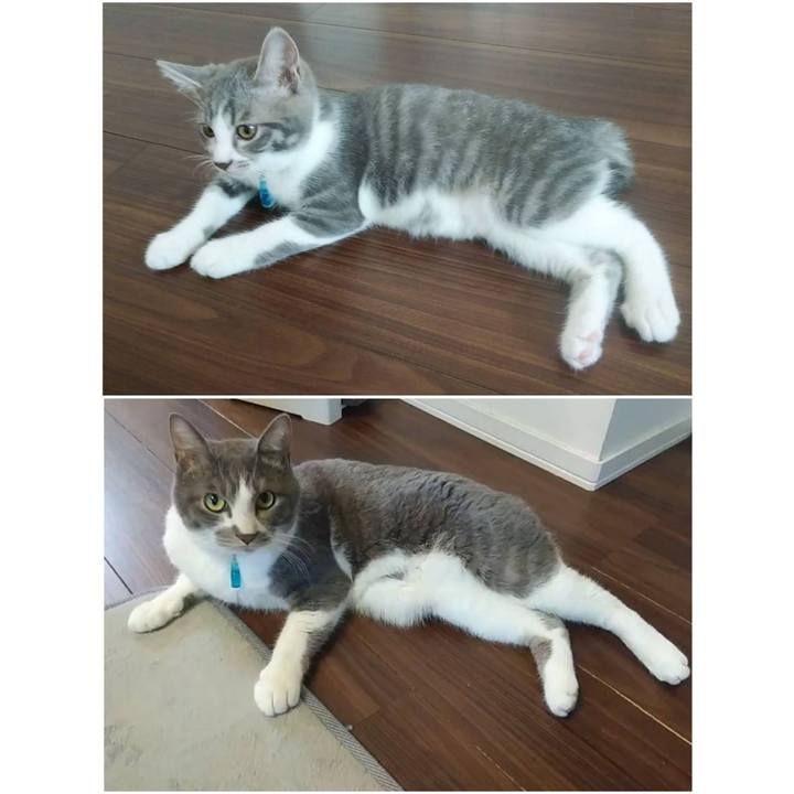 Ad1d9e69 f678 428d a834 ab3040ef9acf 1646726371097