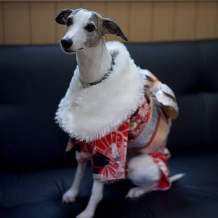 Ad1d9ee9 16c1 4ad9 aad1 7609b374a42a 1514975380813